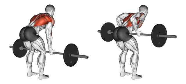 Rowing barre Rowing barre — exercice musculation