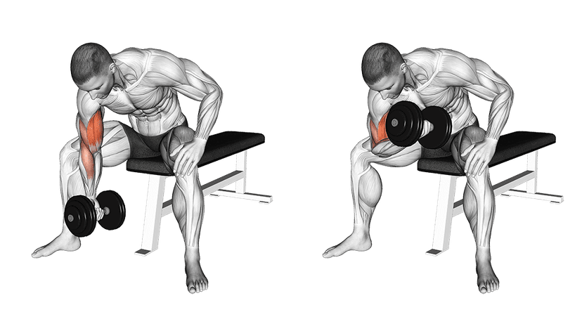 Curl concentration Curl concentration — illustration de l'exercice