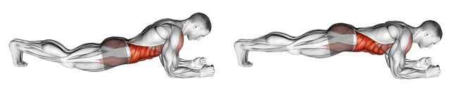 Gainage frontal Gainage frontal — exercice musculation