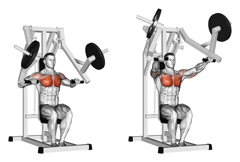 Chest press Chest press — illustration de l'exercice