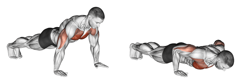 Pompes Pompes — illustration de l'exercice
