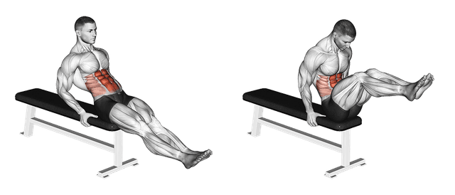 Relevés de jambes assis sur un banc Relevés de jambes assis sur un banc — exercice musculation