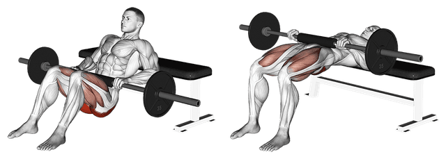 Hip thrust Hip thrust — exercice musculation