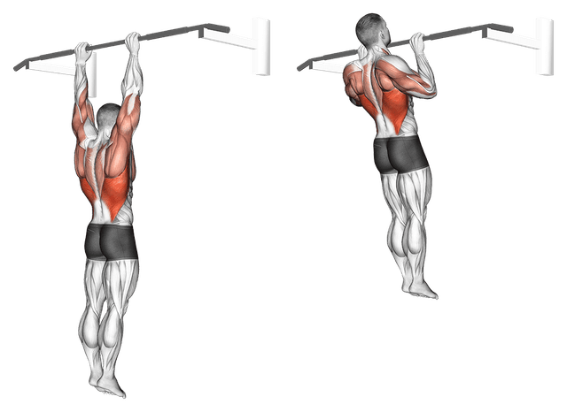 Tractions pronation Tractions pronation — exercice musculation
