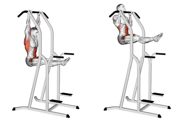 Traction L-sit Traction L-sit — exercice musculation