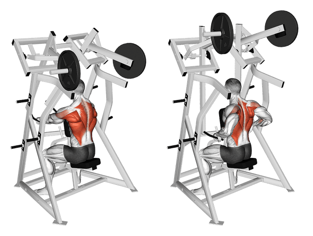 Rowing machine assis Rowing machine assis — exercice musculation