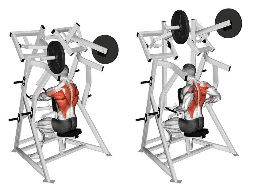 Rowing machine assis Rowing machine assis — illustration de l'exercice