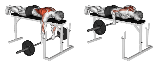Rowing planche Rowing planche — exercice musculation