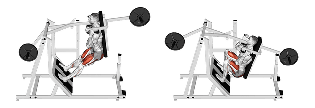 Pendulum squat Pendulum squat — exercice musculation