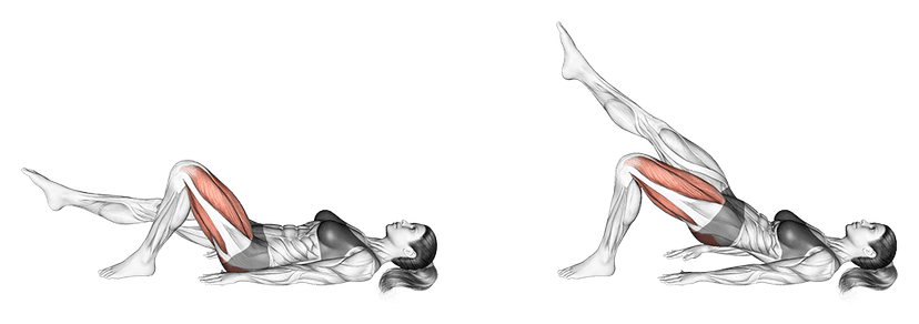 Single leg glute bridge Single leg glute bridge — illustration de l'exercice