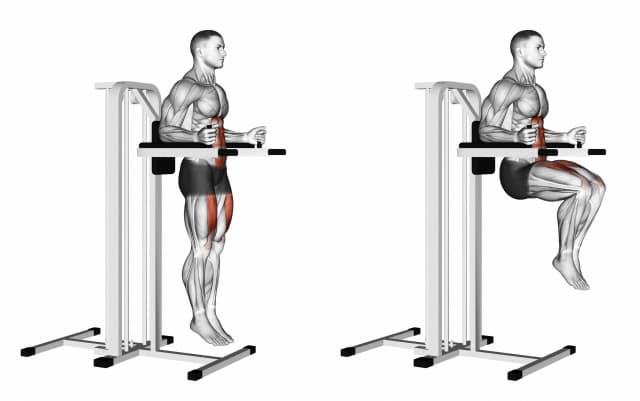 Relevés de jambes à la chaise romaine Relevés de jambes à la chaise romaine — exercice musculation