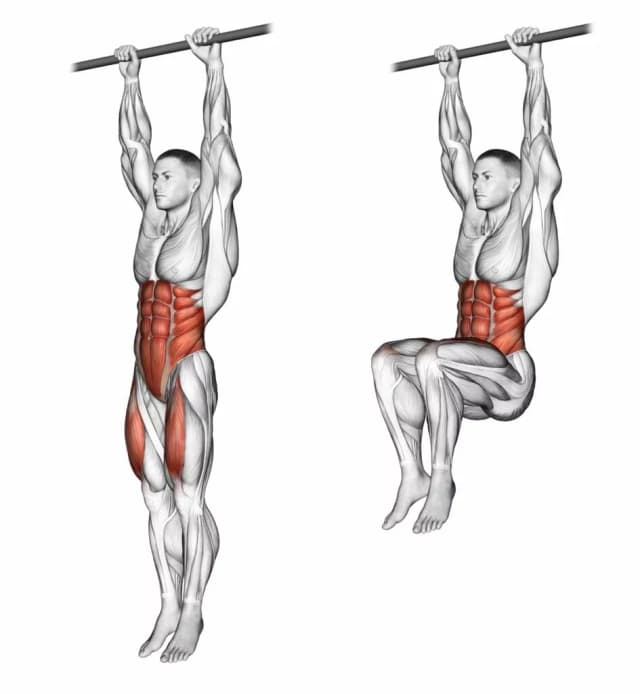 Relevés de jambes suspendu à la barre Relevés de jambes suspendu à la barre — exercice musculation