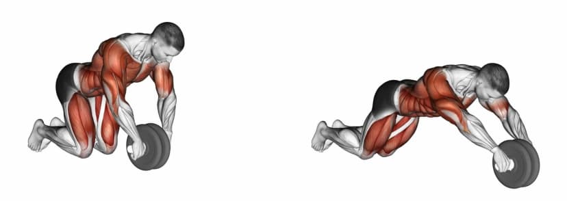 Roue à abdominaux Roue à abdominaux — illustration de l'exercice