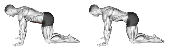 Stomach vacuum Stomach vacuum — exercice musculation