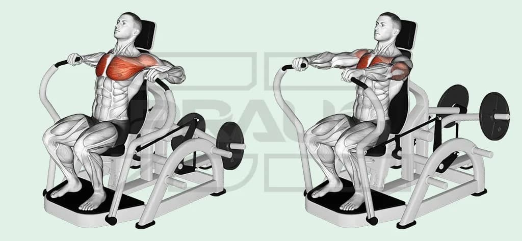 Pratiquant assis sur une machine chest press à disques, poignées contre la poitrine puis bras tendus devant lui, pectoraux et épaules surlignés.