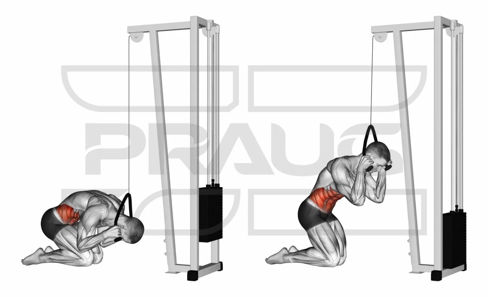 Crunch à la poulie haute à genoux, corde tenue près de la tête : buste enroulé vers le sol, puis redressé face à la poulie.