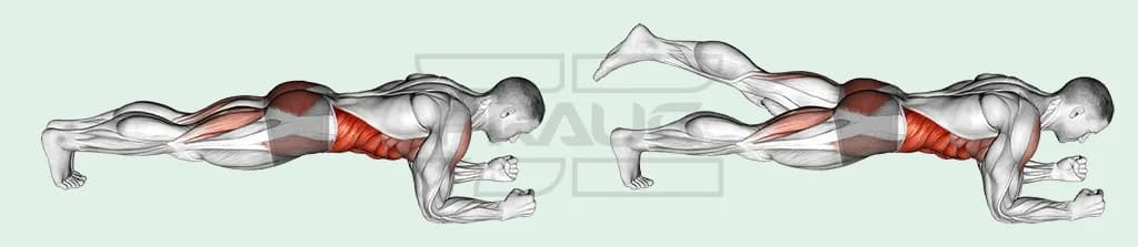 Pratiquant en planche sur les avant-bras, à gauche les deux pieds au sol, à droite une jambe tendue levée en arrière, abdominaux et fessiers en rouge.