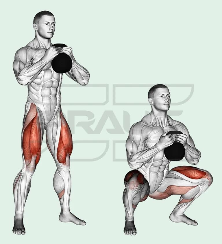 Homme tenant une kettlebell contre la poitrine, debout puis en squat profond, buste droit, quadriceps et fessiers colorés en rouge.