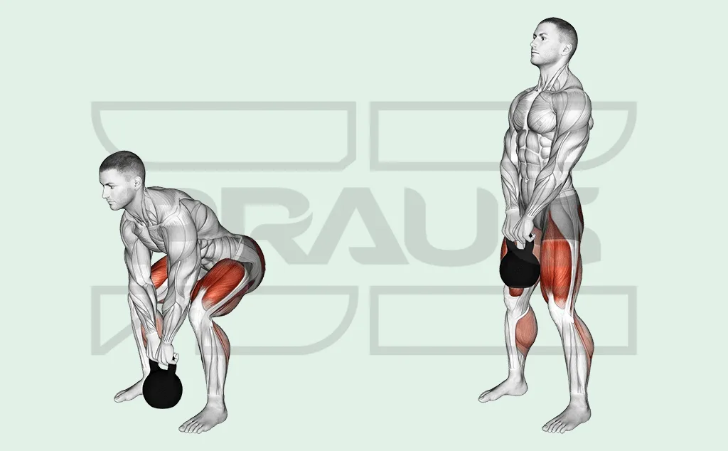 Soulevé de terre kettlebell : bassin reculé, dos plat, kettlebell saisie à deux mains entre les pieds.