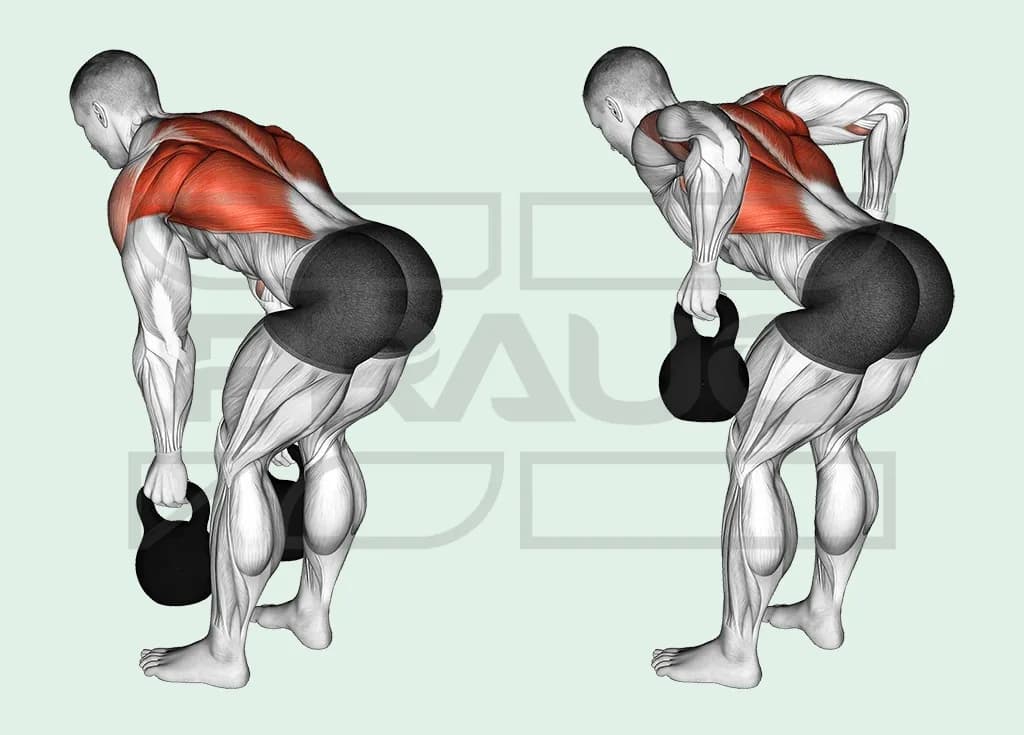 Pratiquant buste penché vers l’avant, dos plat, tirant une kettlebell dans chaque main vers le bas des côtes, coudes près du corps.