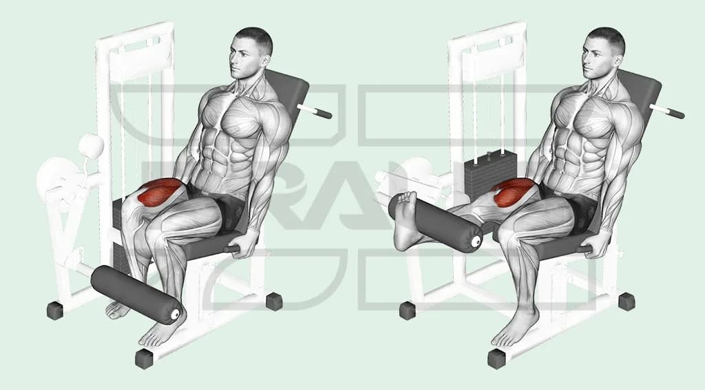 Leg extension unilatéral : une seule jambe tendue sous le boudin, l’autre jambe repliée, pour travailler un quadriceps à la fois.