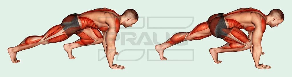 Pratiquant en planche haute sur les mains, un genou ramené sous la poitrine puis l’autre, abdominaux, épaules et jambes mis en évidence en rouge.