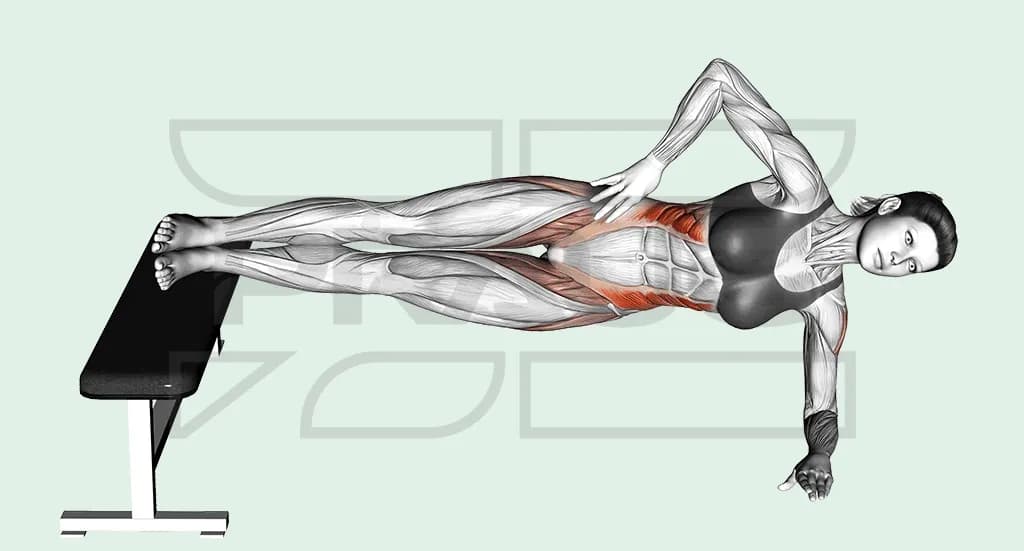 Pratiquante en gainage latéral sur la main, les deux pieds posés sur un banc plat, corps aligné, obliques en rouge.