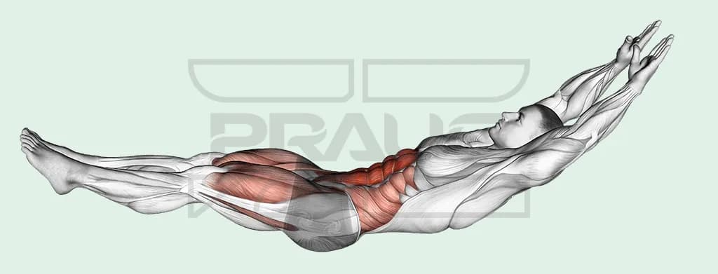 Hollow body hold : allongé sur le dos, bras et jambes tendus décollés du sol
