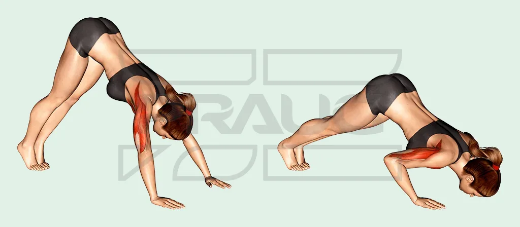 pike push-ups - pompes en pike