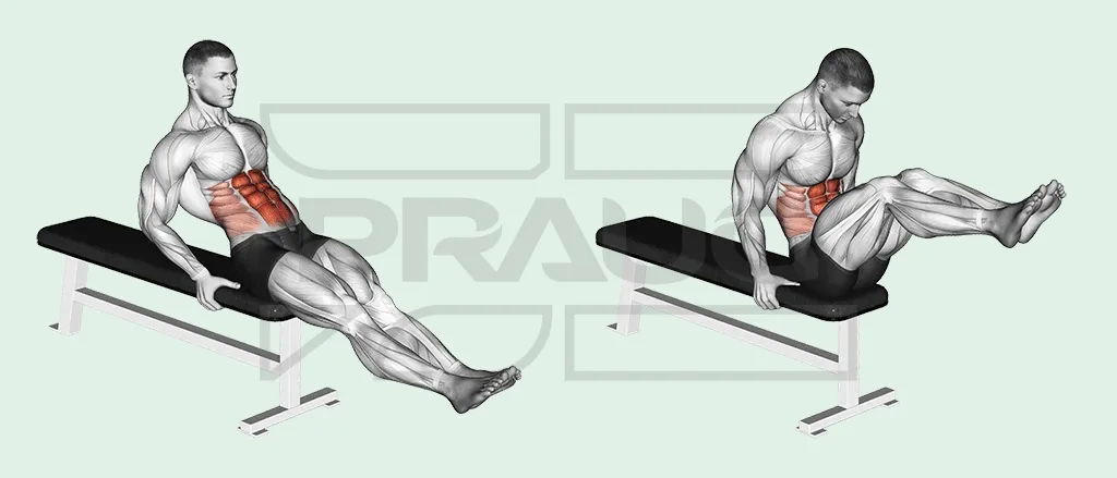 Pratiquant assis sur un banc plat, mains posées sur le banc de chaque côté, buste incliné en arrière : jambes tendues vers l’avant, puis genoux ramenés vers la poitrine ; le grand droit de l’abdomen est en rouge.