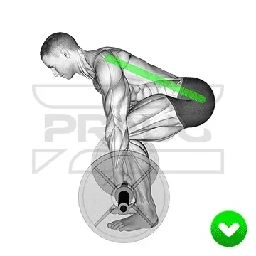 Position de départ correcte au soulevé de terre vue de profil : dos droit de la nuque au bassin, marqué d’un trait vert, épaules au-dessus de la barre, tibias contre la barre.