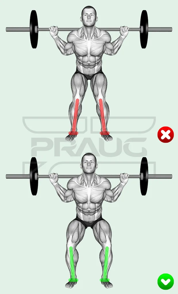 Position des genoux au squat : les genoux s’ouvrent dans la direction des pointes de pied.