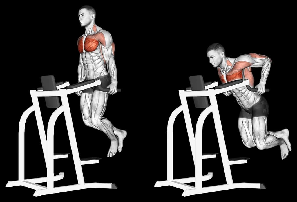 Dips