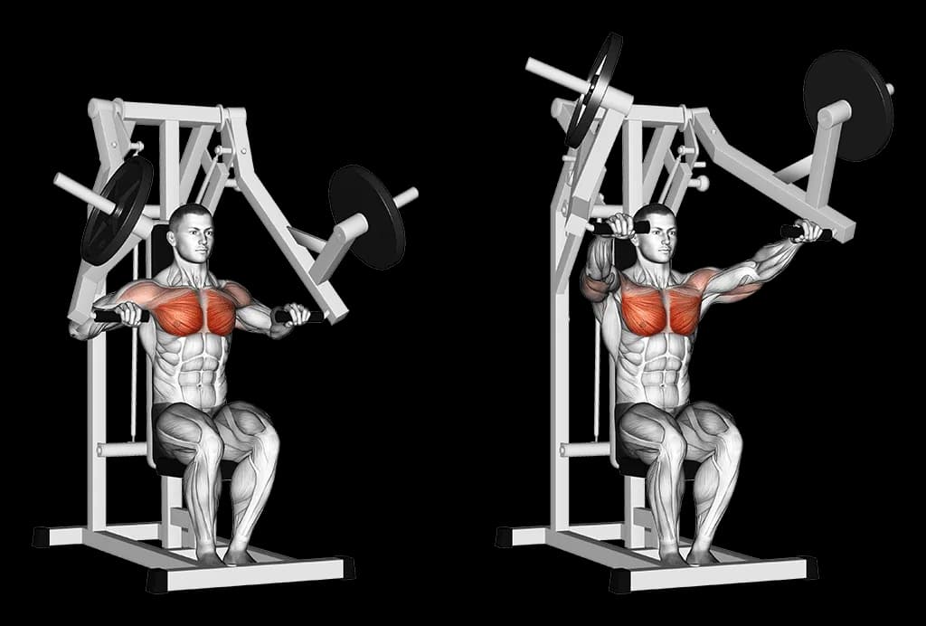 Chest press
