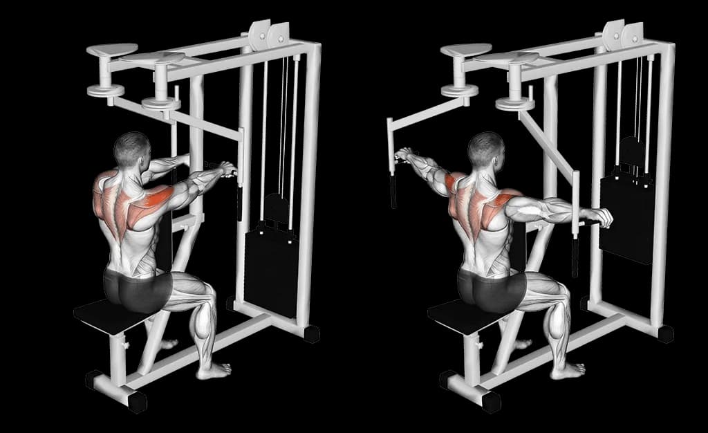 Pec deck inversé
