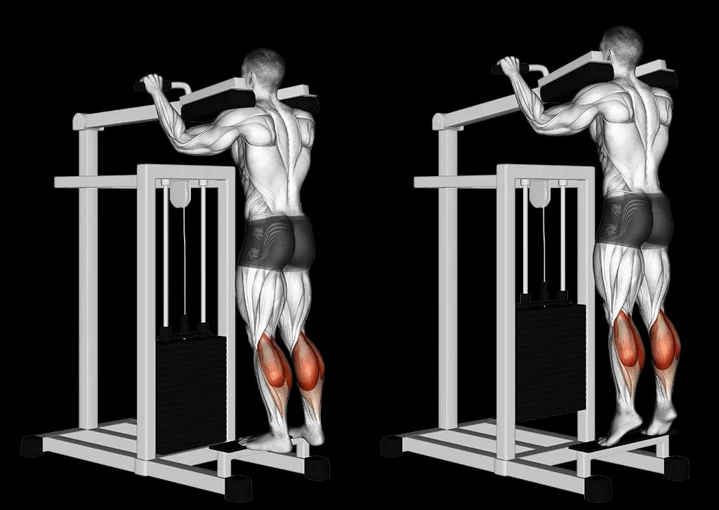 Extension mollets debout à la machine