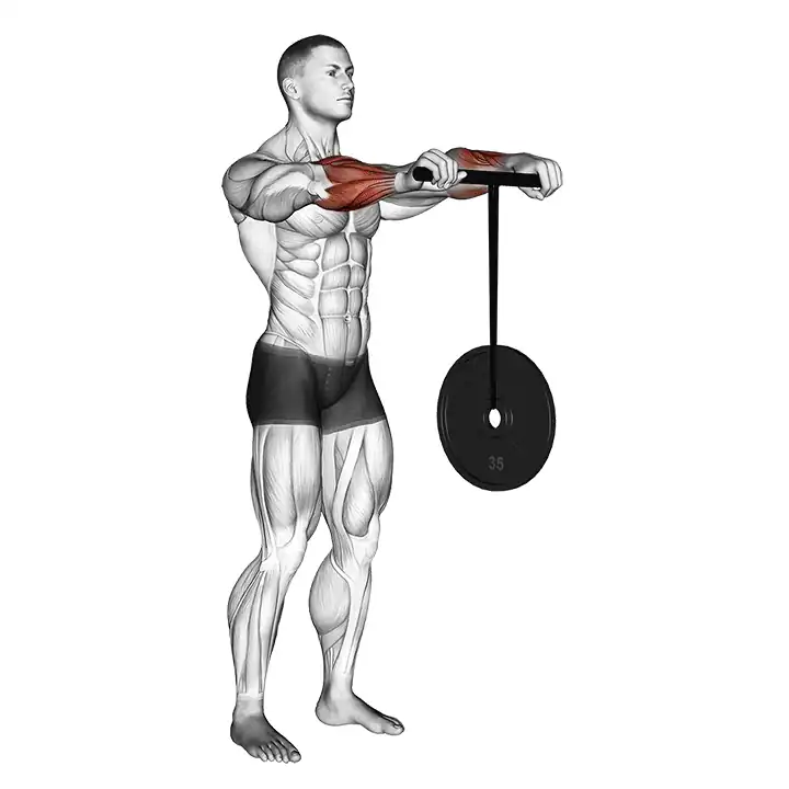 Wrist roller