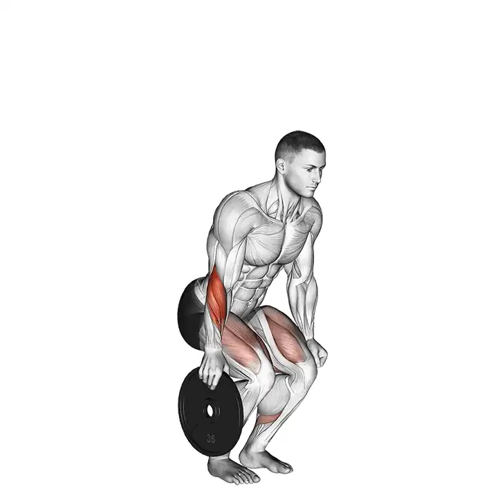 Plate pinch