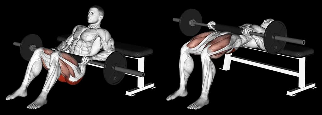 Hip thrust