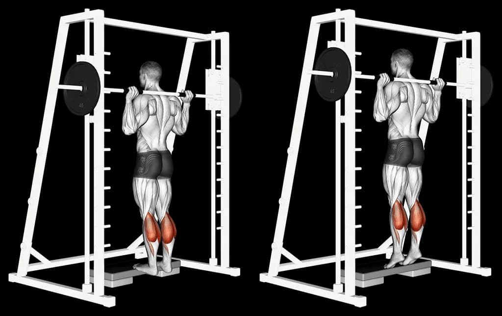 Extension mollets à la Smith machine