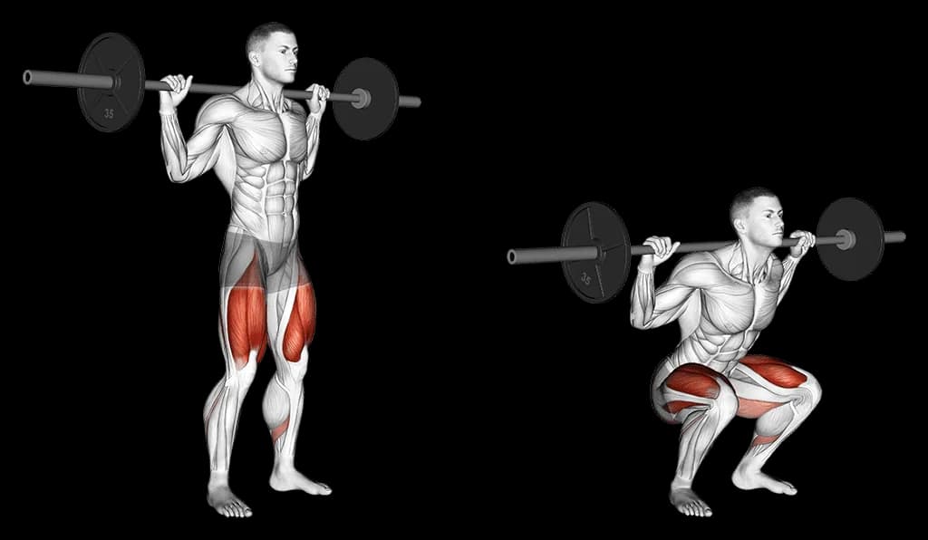 Squat