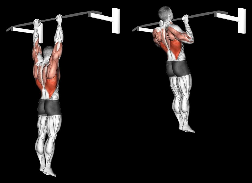 Tractions pronation