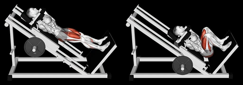 Hack squat