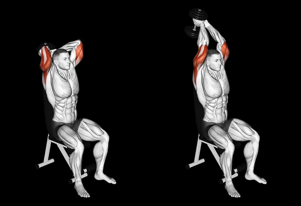 Extension triceps aux haltères