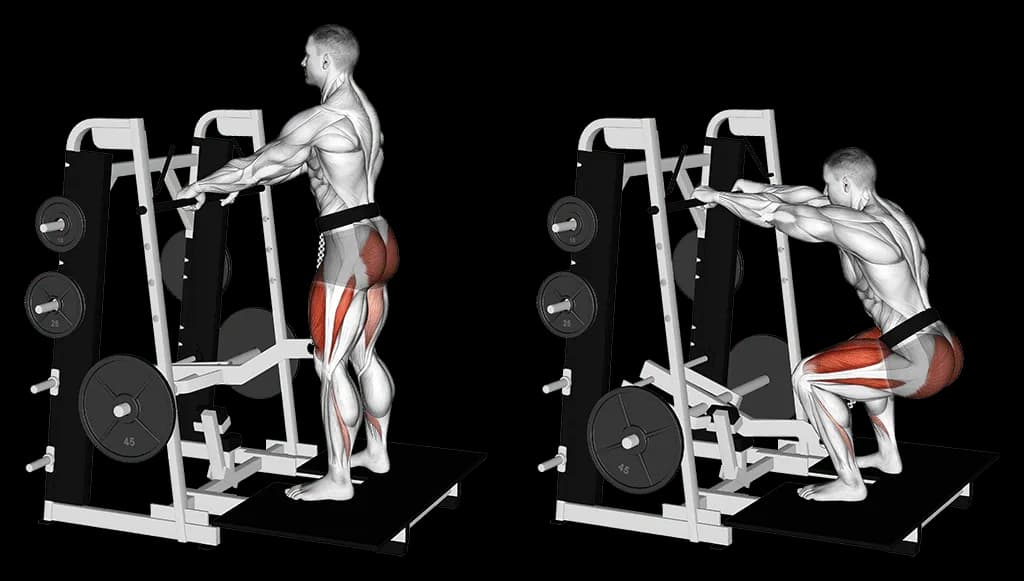 Belt squat
