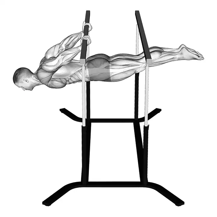 Back lever