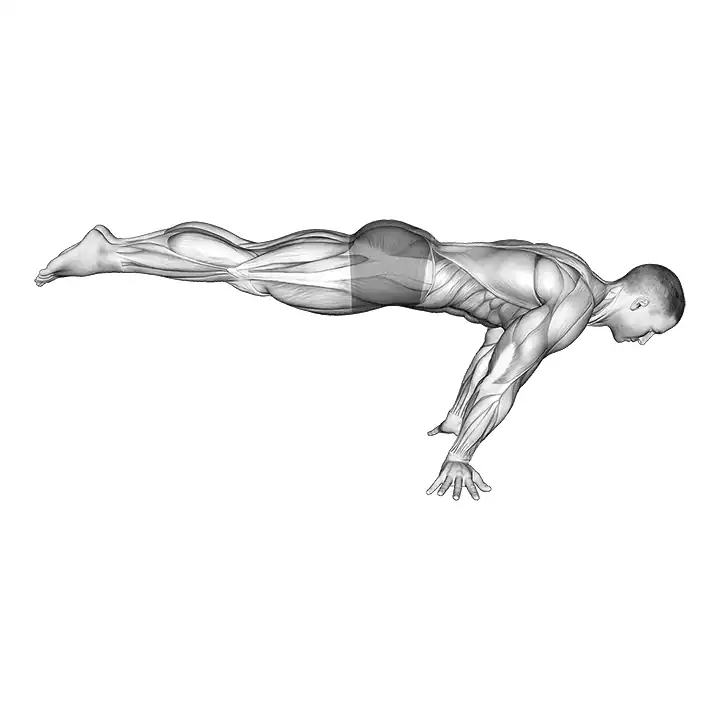 Planche complète