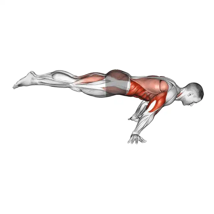 Pompe en planche complète