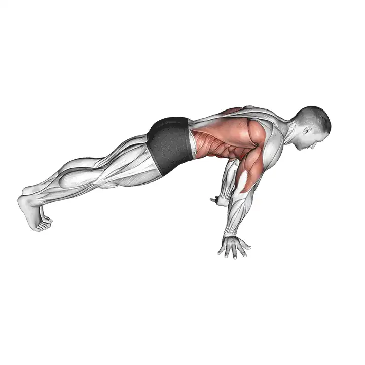Pompe pseudo-planche