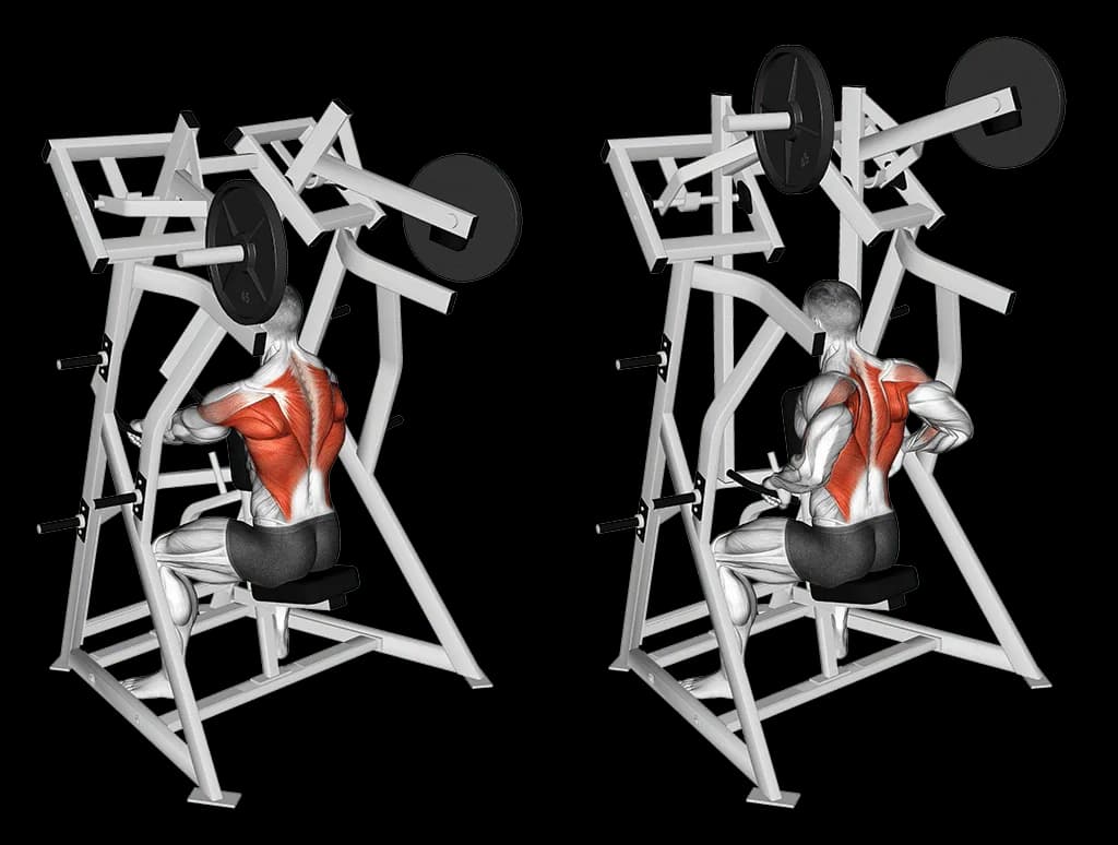 Rowing machine assis